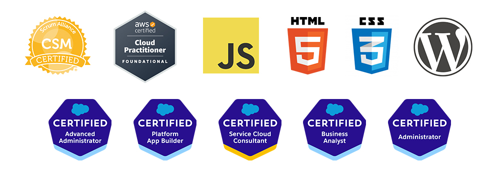 Certified Salesforce Administrator, Certified Scrum Master, Javascript, HTML, Web Development, CSS, Shopify, Wordpress 